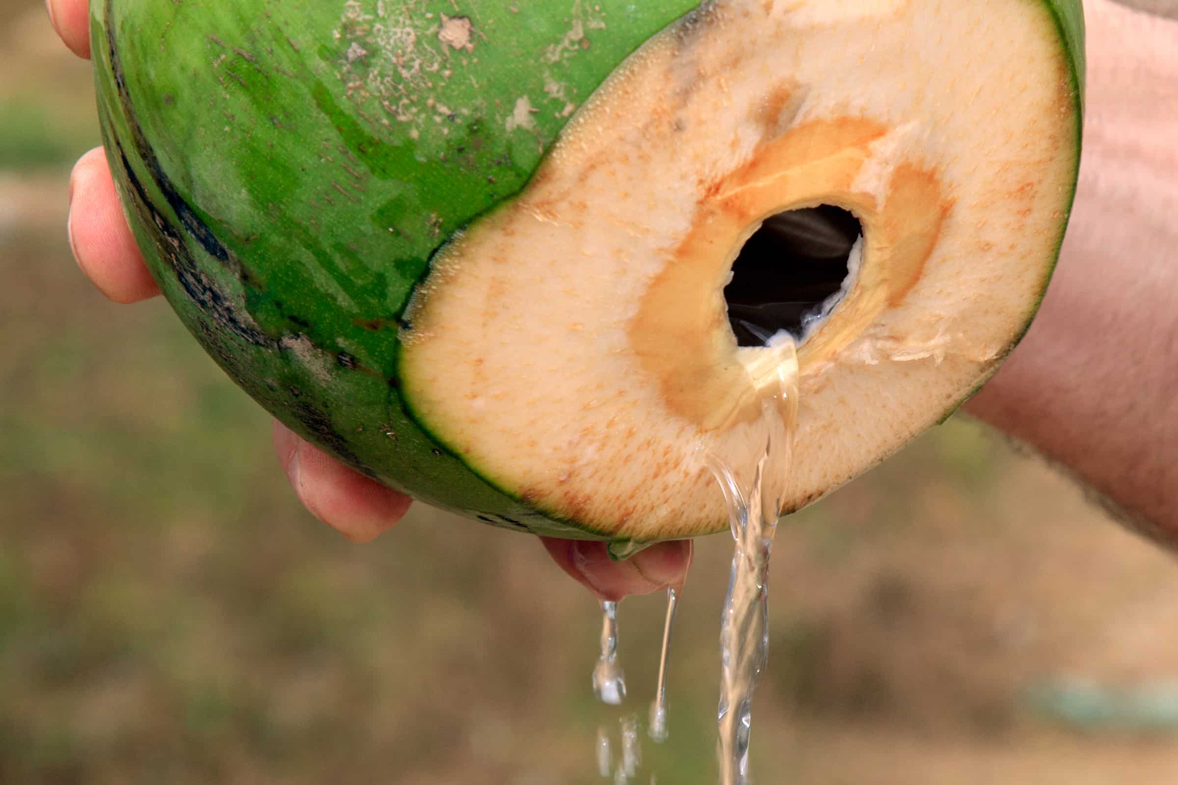 L'eau de coco Vaïvaï se relooke